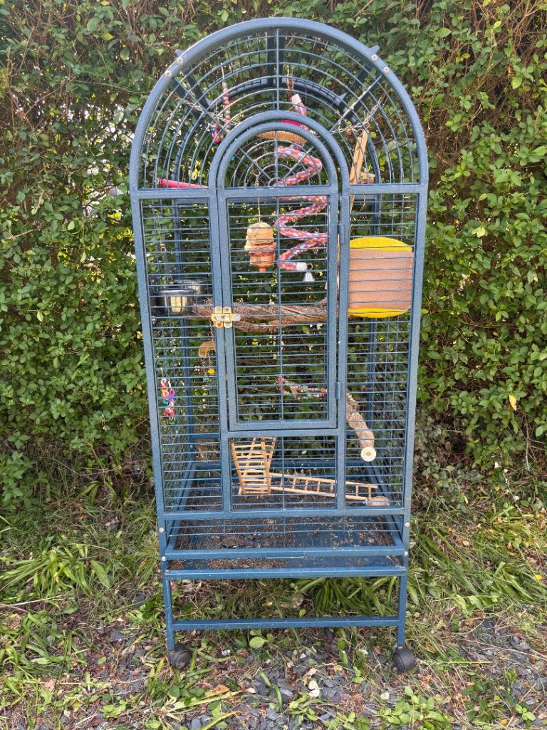 Large bird cage