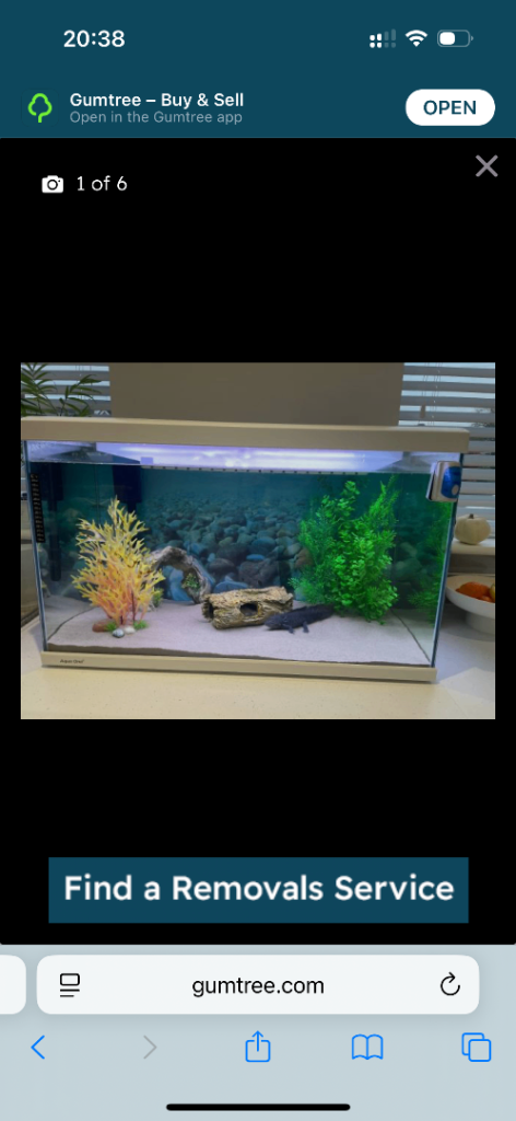 Fish tank
