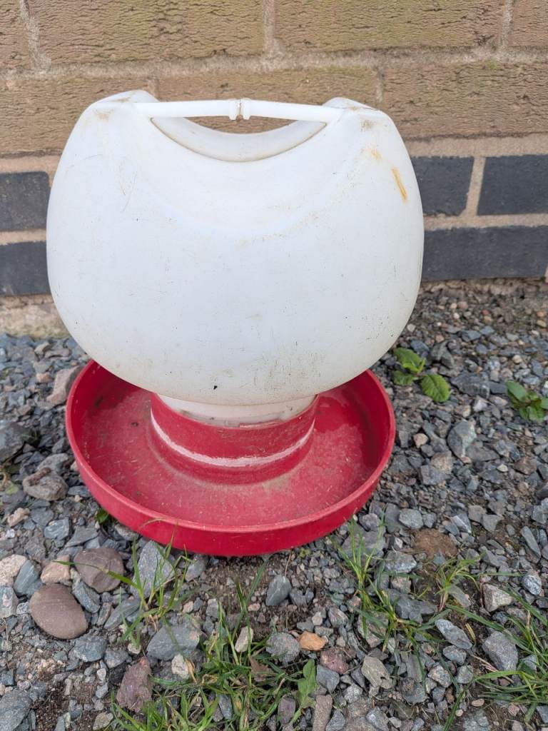 Chicken feeders and 1 water container 