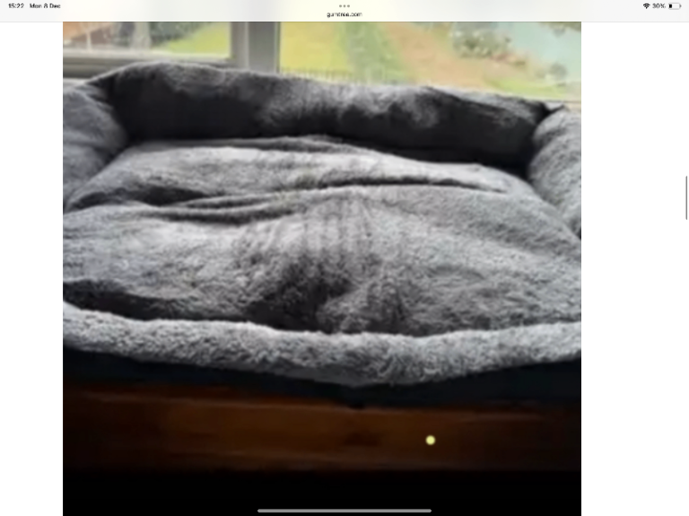 New xl Suoer soft pet bed £30 