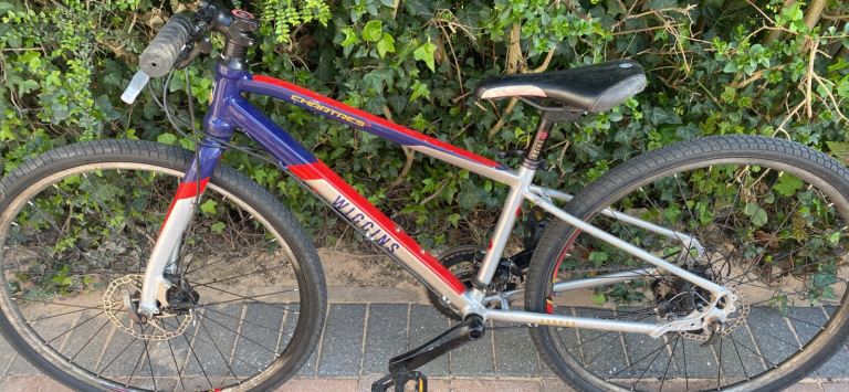 Boys Wiggins Chartres bike 