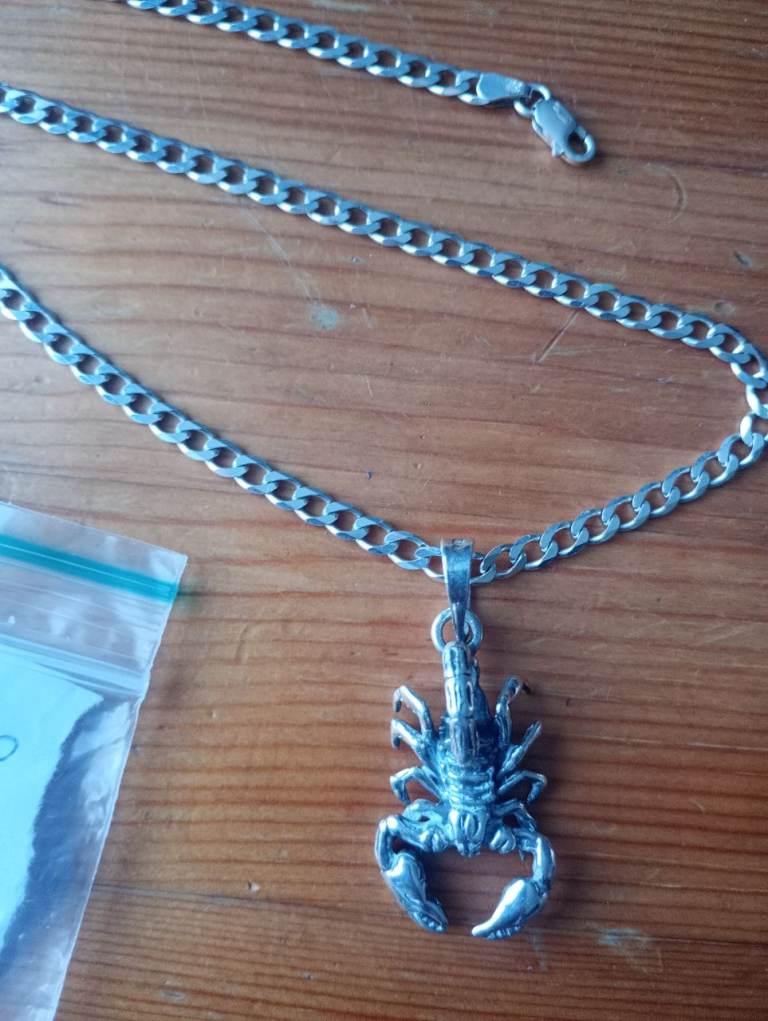 image for £40 heavy sterling silver chain with scorpion 