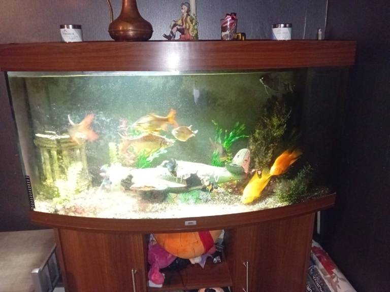 Brand new buld to fit aquarium 