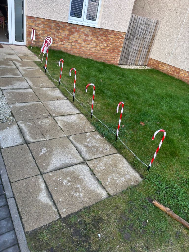 Variety of Christmas decorations 