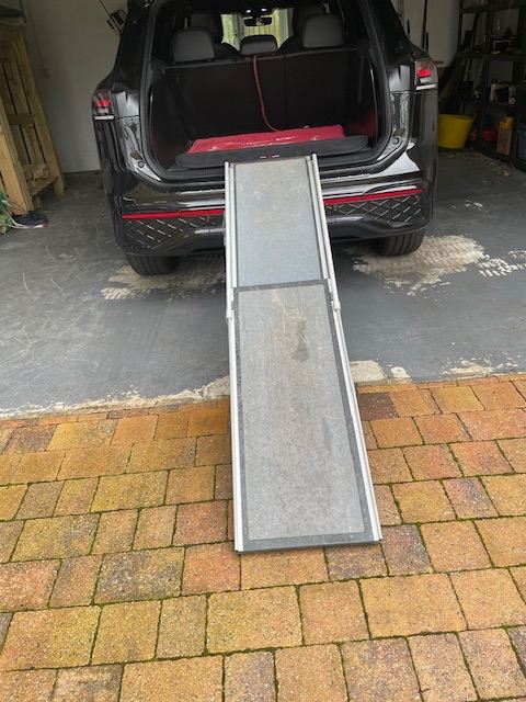 Dog car ramp
