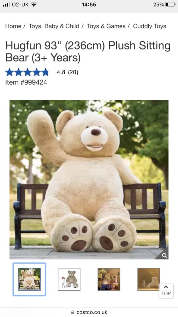 8ft Teddy Bear