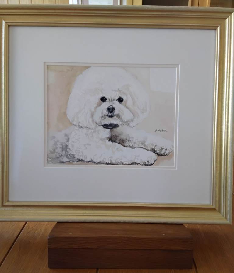 Lovely Bichon Frise Dog Painting in Gold Frame – Good Condition
