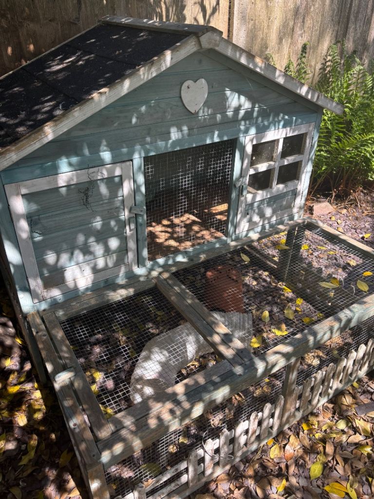 Guinea pig cage / run