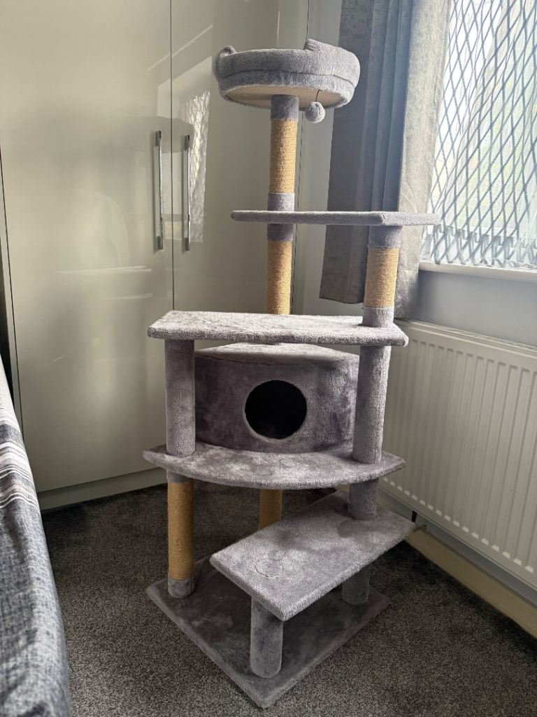cat tree very tall 