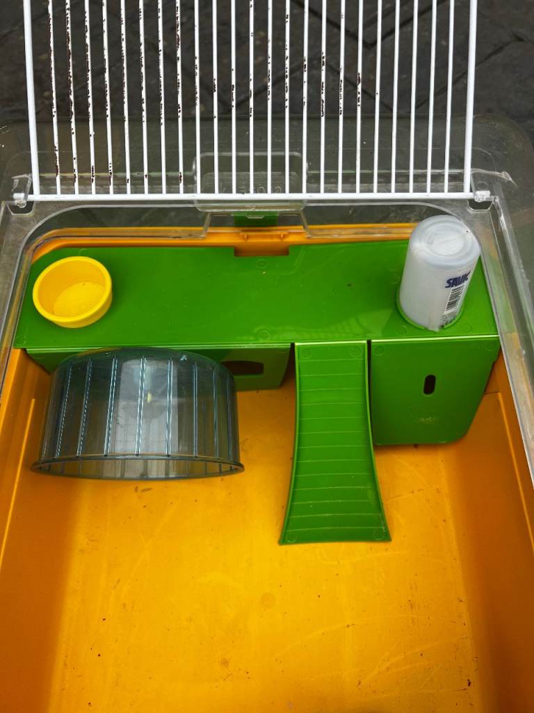 Starter hamster cage for one hamster