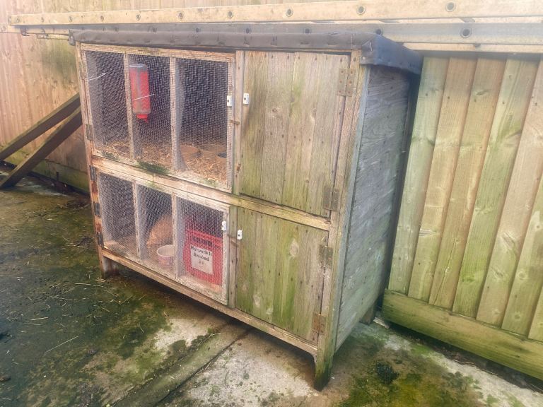 Wooden double rabbit hutch 