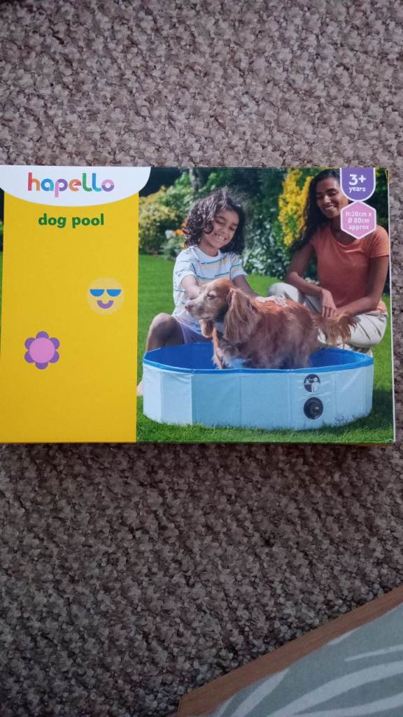 Dog pool
