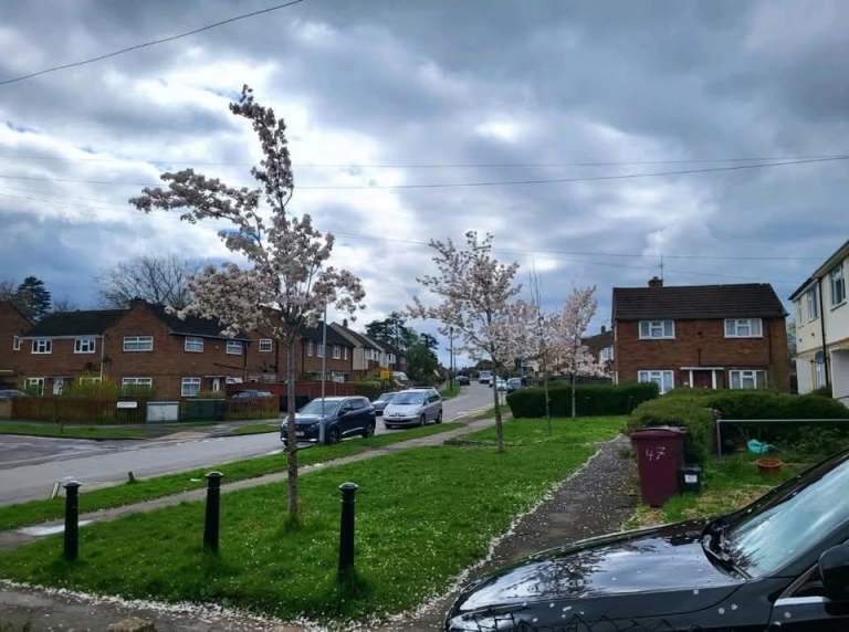 2 Bed Semi detached House for Rent ,Usk Road,Rg30