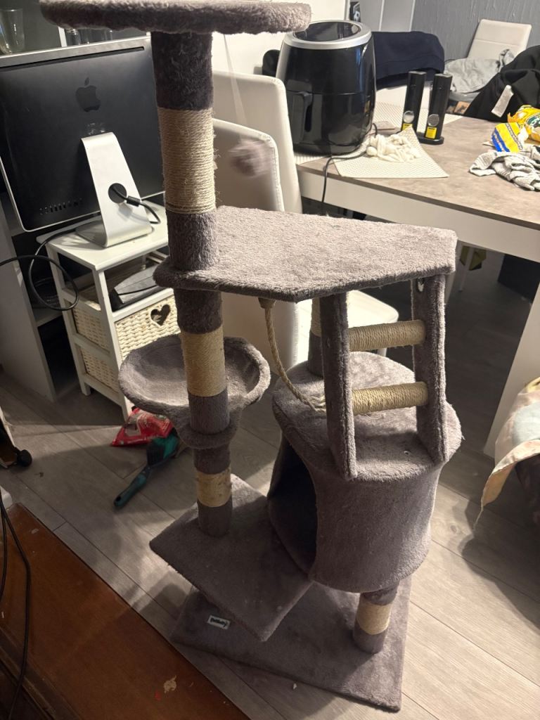 Cat tree 