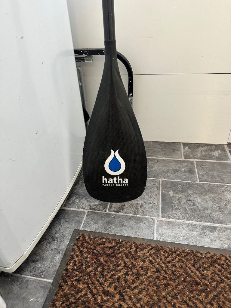 image for Carbon paddle paddle board