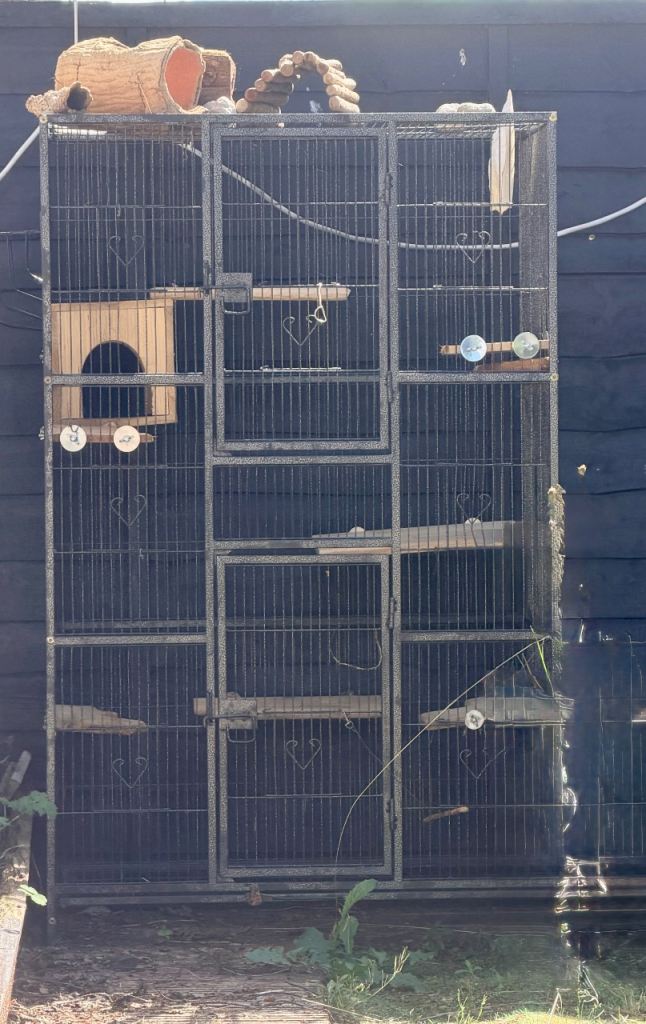 Rodent/Parrot cage