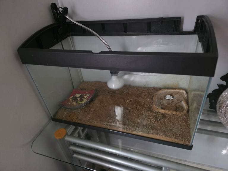 Turtle, fish , tortoise reptile tank and additional accessories plants llight furniture