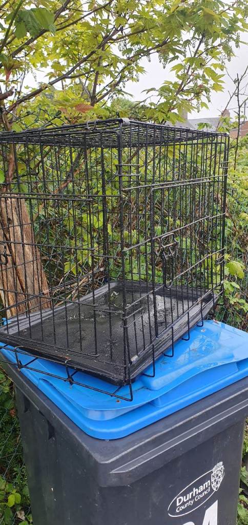 Small dog cage