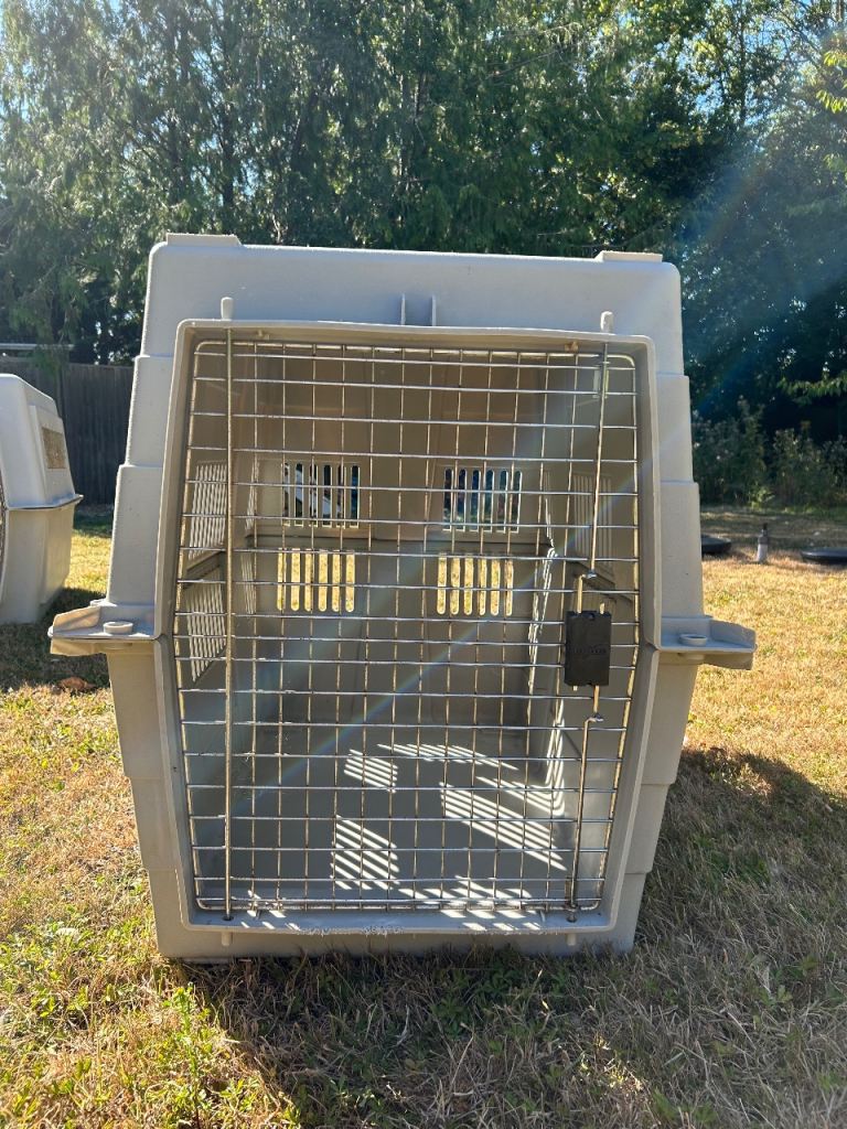 Large dog crate 