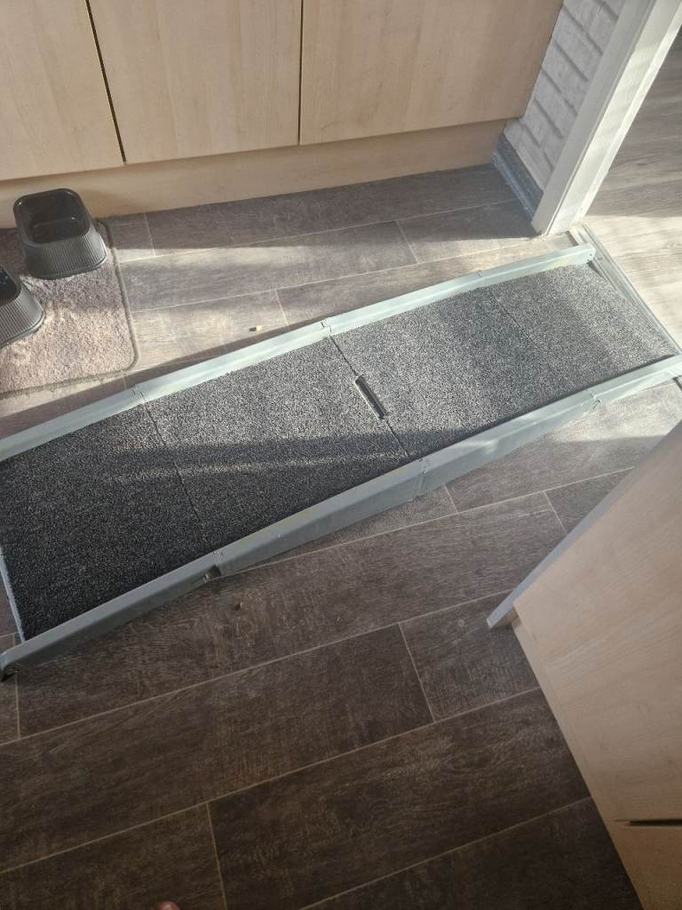 Dog ramp 