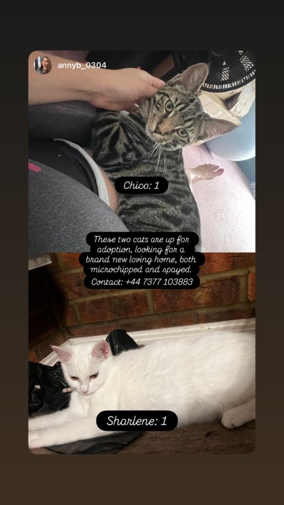 Looking for a lovely home 
