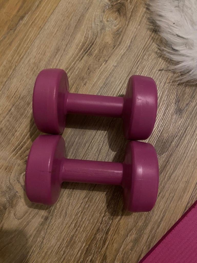 2 1.5kg dumbbells