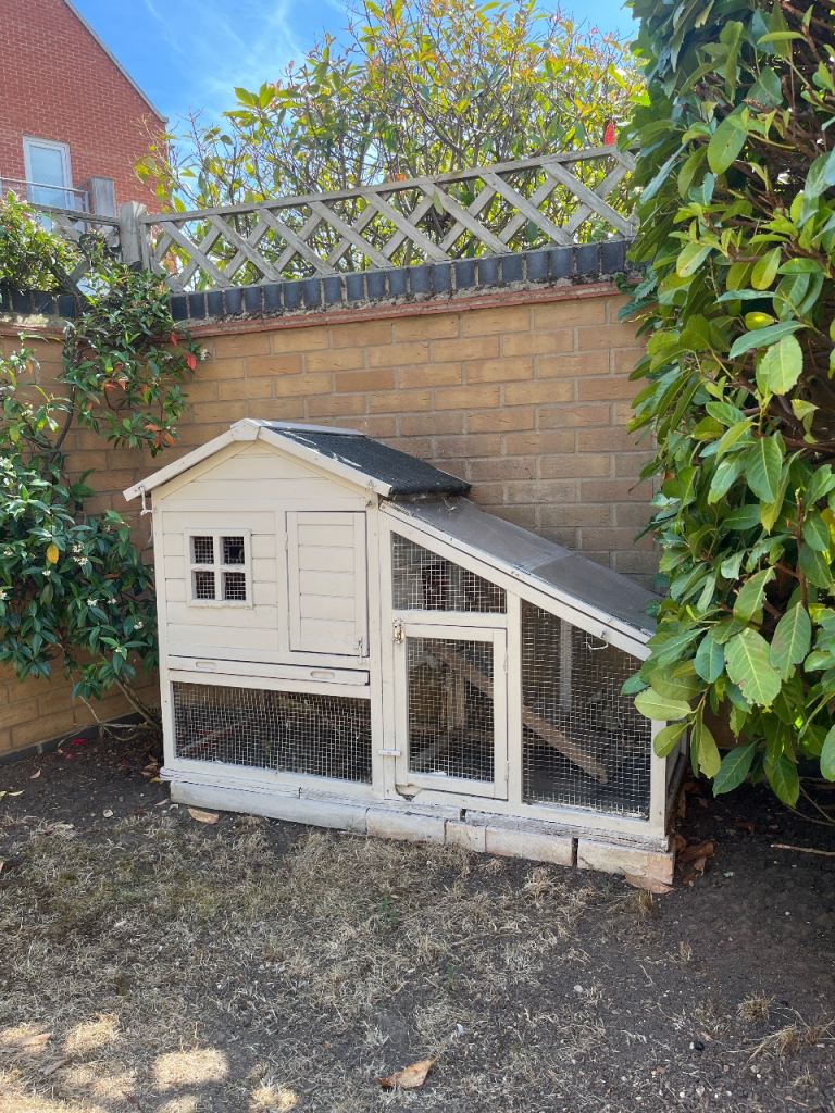 White rabbit Hutch 