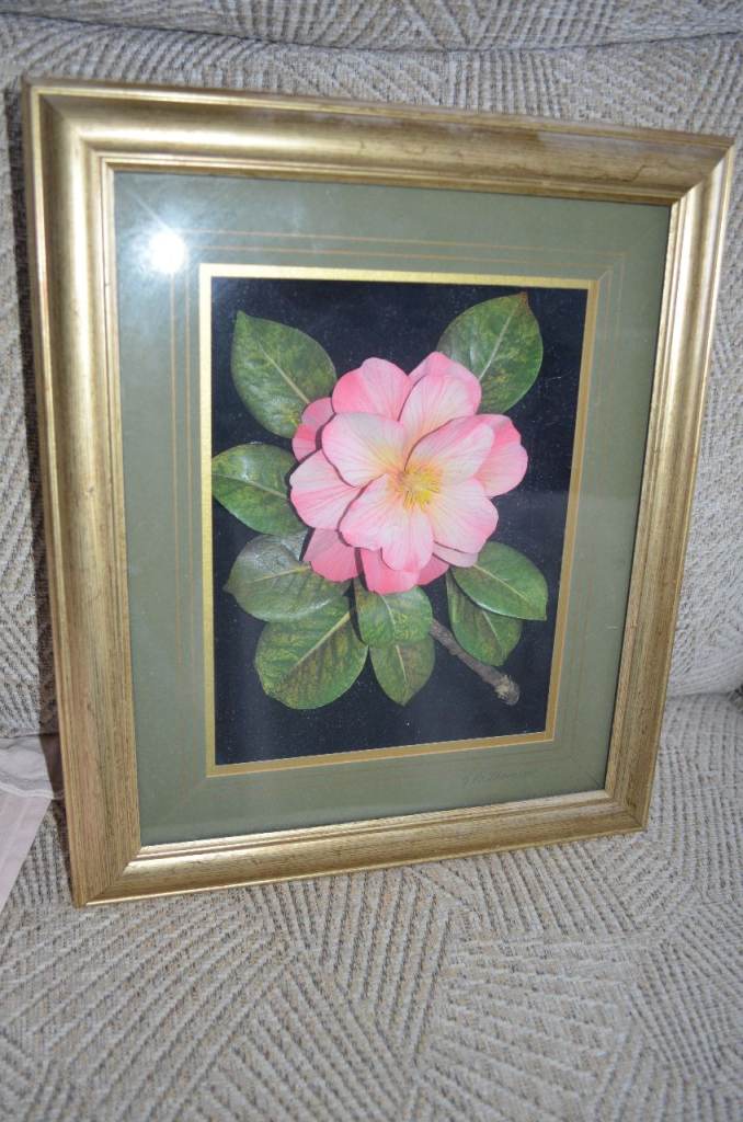 HAND PAINTED 2"  THICK  FLOWER  PICTURE CORNWALL 