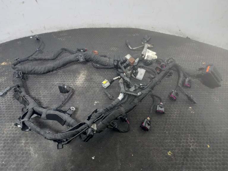 2024 Seat Tarraco Wiring Harness