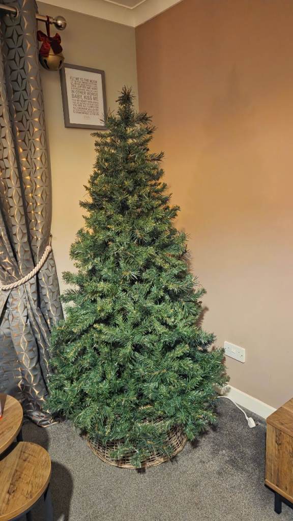 6ft Highland Fir Christmas Tree
