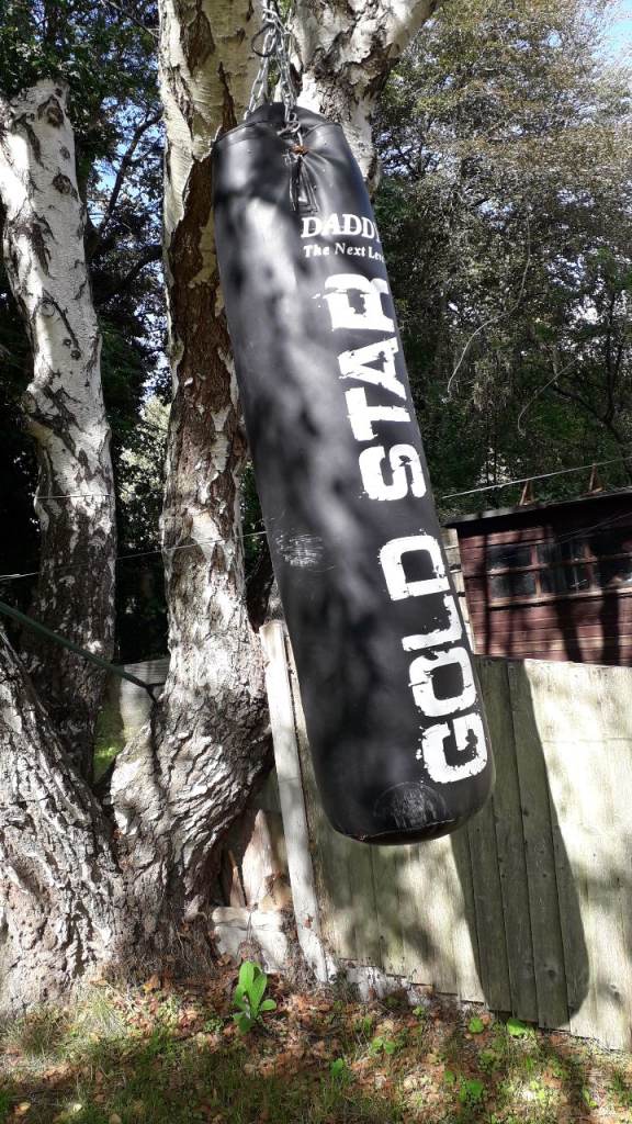 DADDY Gold Star Punch Bag – Good Condition