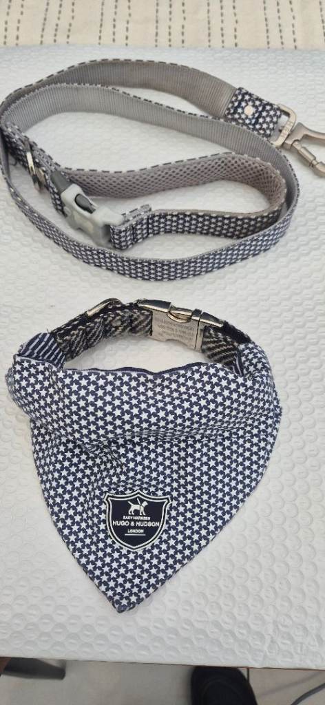 Dog lead, collar and cravat Hugo & Hudson