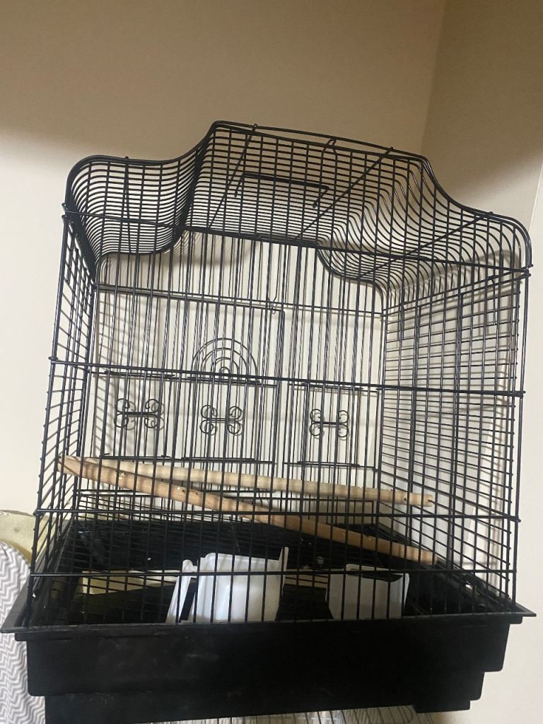 Bird cage