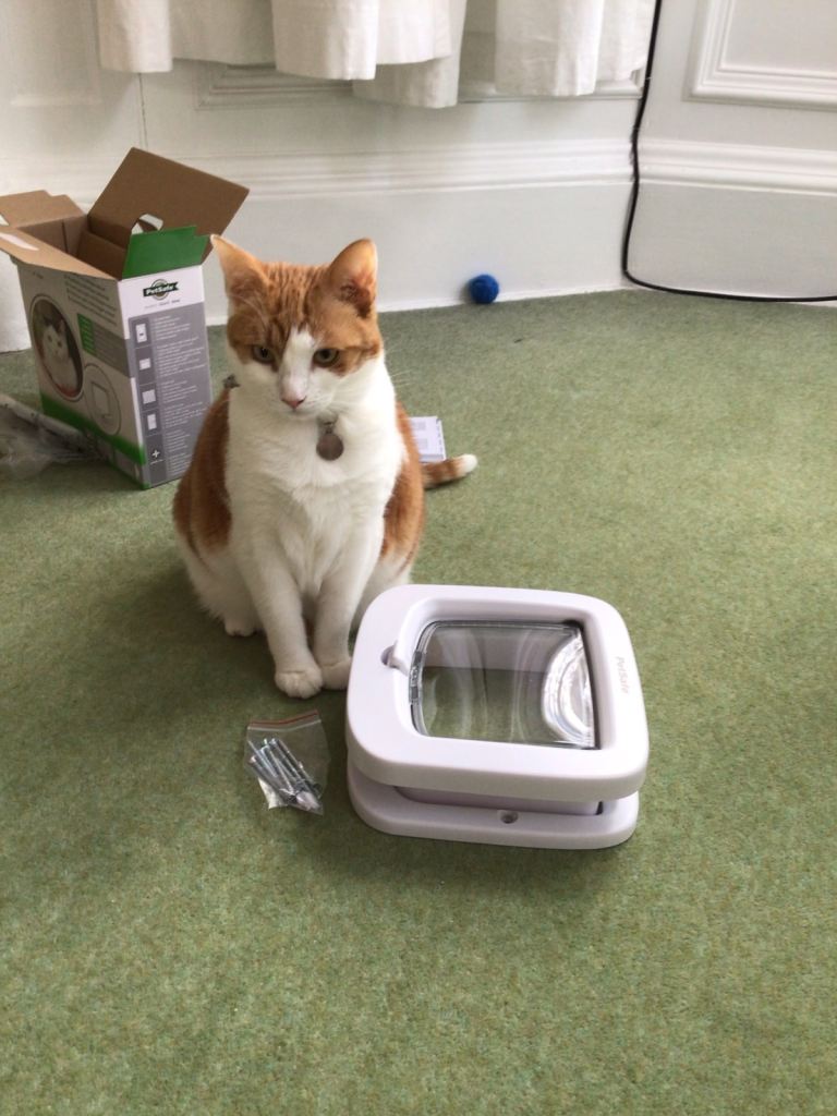 Pet safe manual locking cat flap