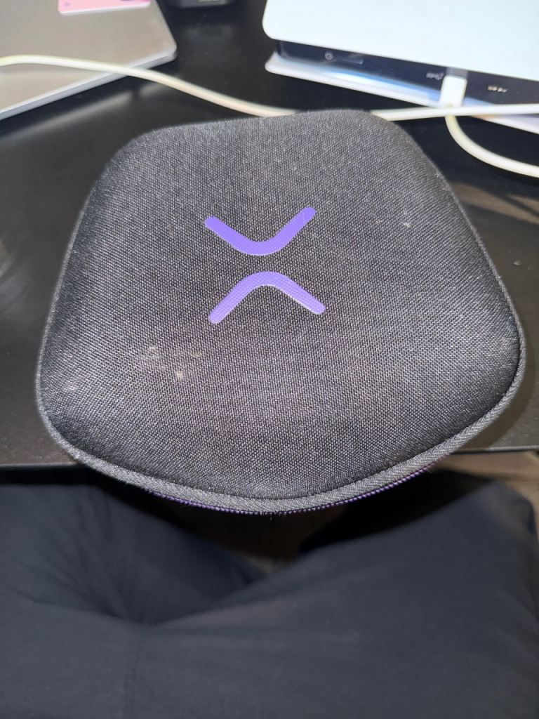 Victrix Pro BFG Controller Travel Case - Black with Purple Logo