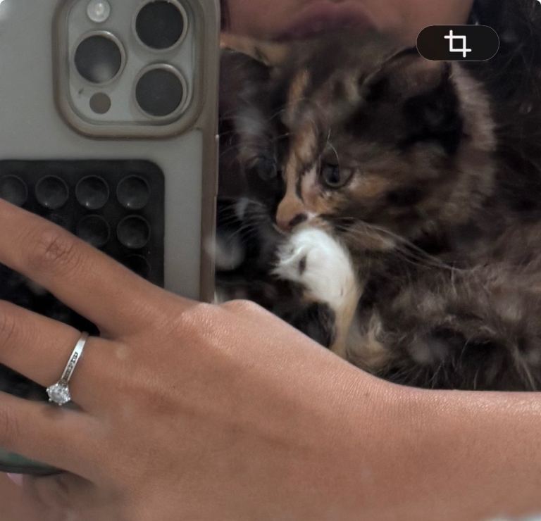 Girl kitten 