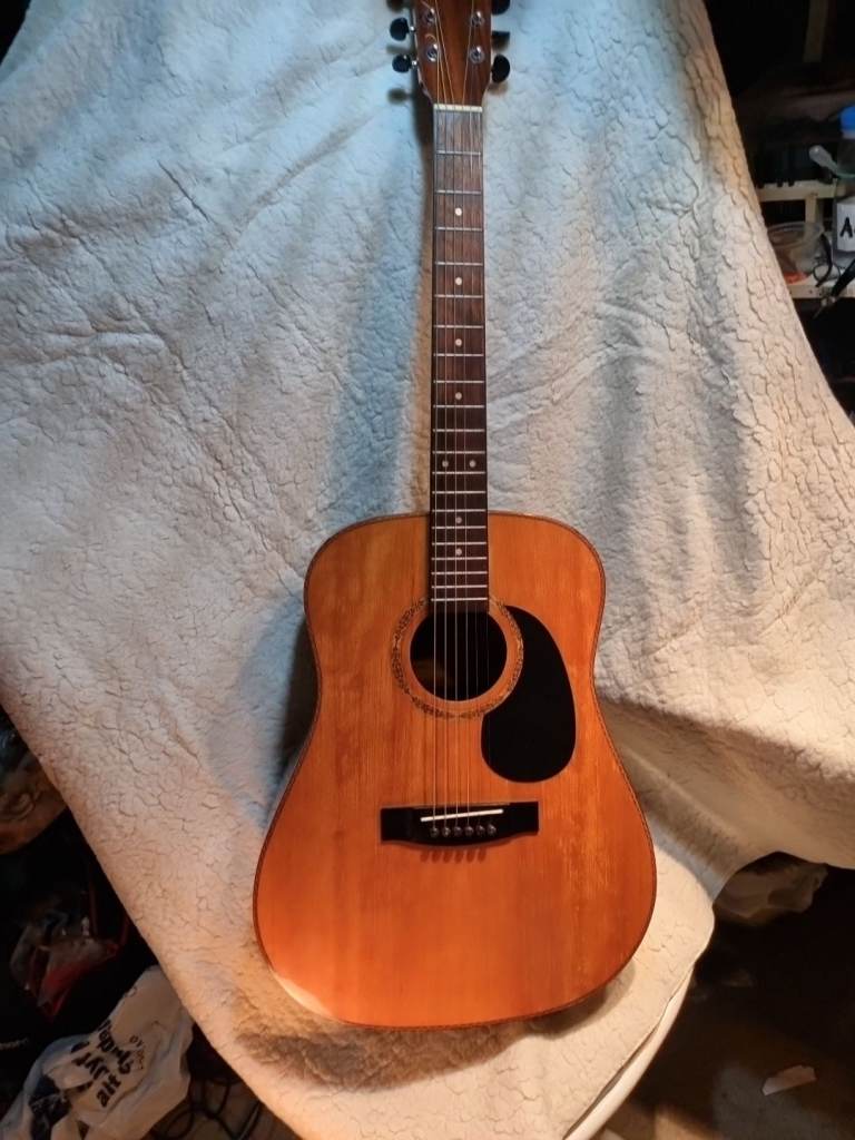 Palmer accoustic guitar 