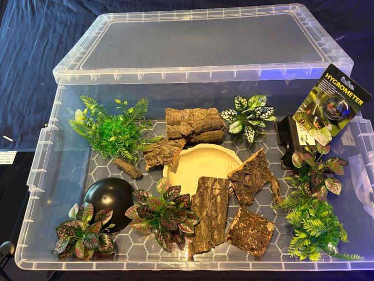 STILL AVAILABLE due to time wasters. 43L Full snake set up. Heat mat thermostat decor reptile etc 
