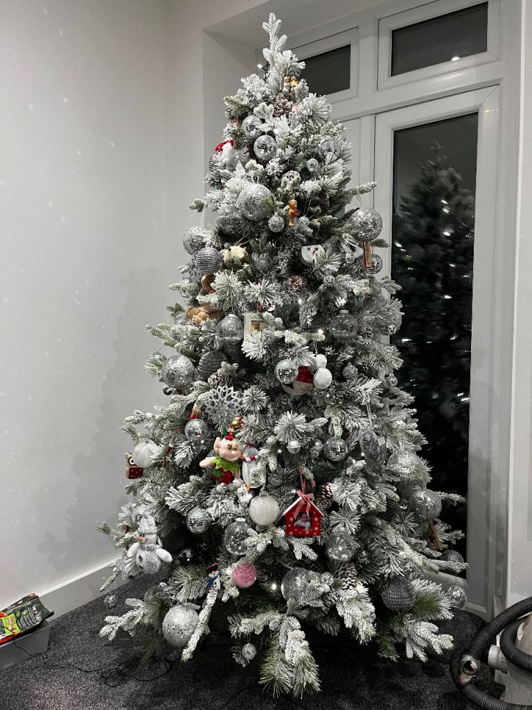 Beautiful 7th Christmas tree - no decorations 
