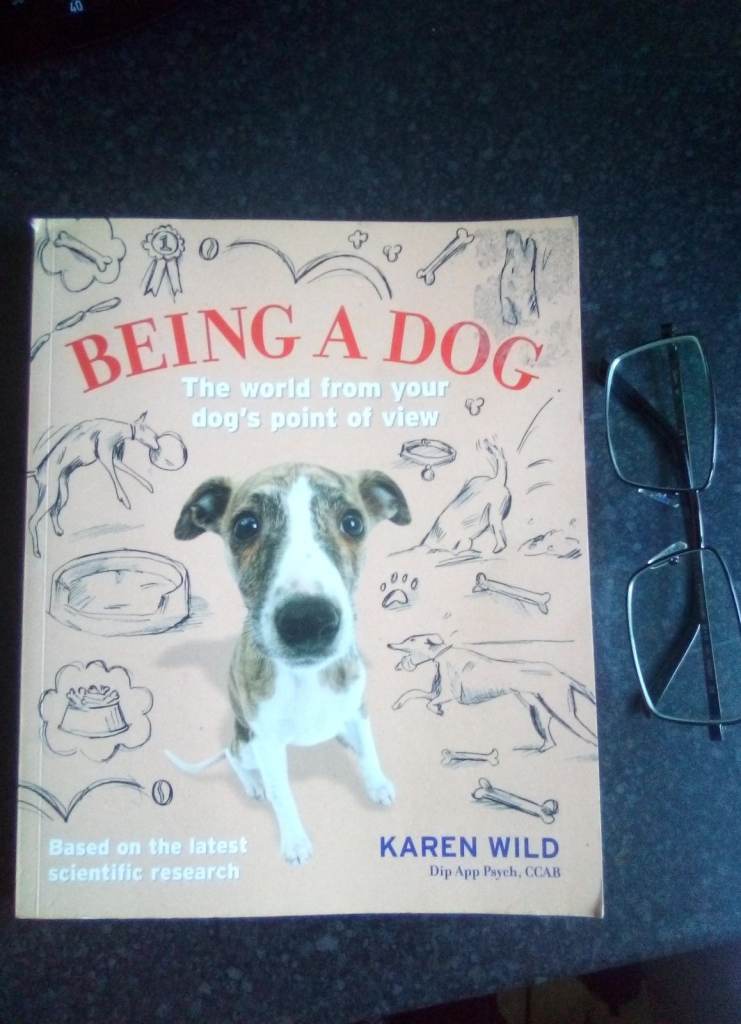 DOG Bowl, Letter Cage, Panniers, Dog Treats, Dog Books etc