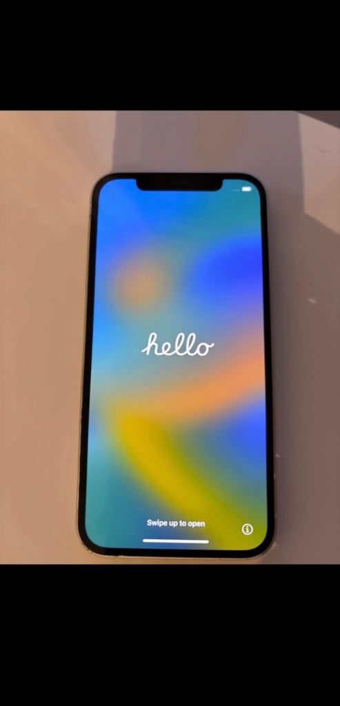 Apple iPhone 12 64GB white/silver