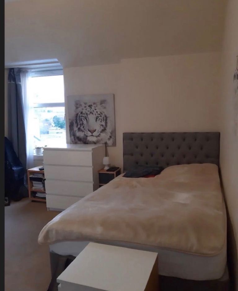 Room for rent 