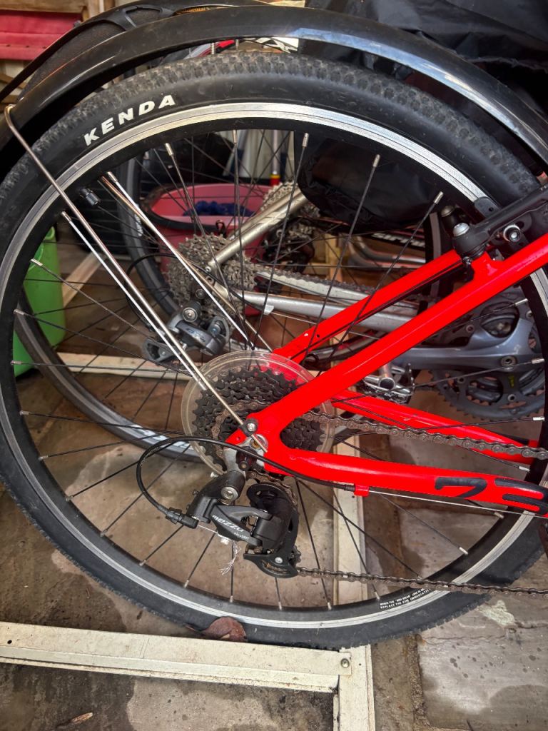 Red children mountain frog bike