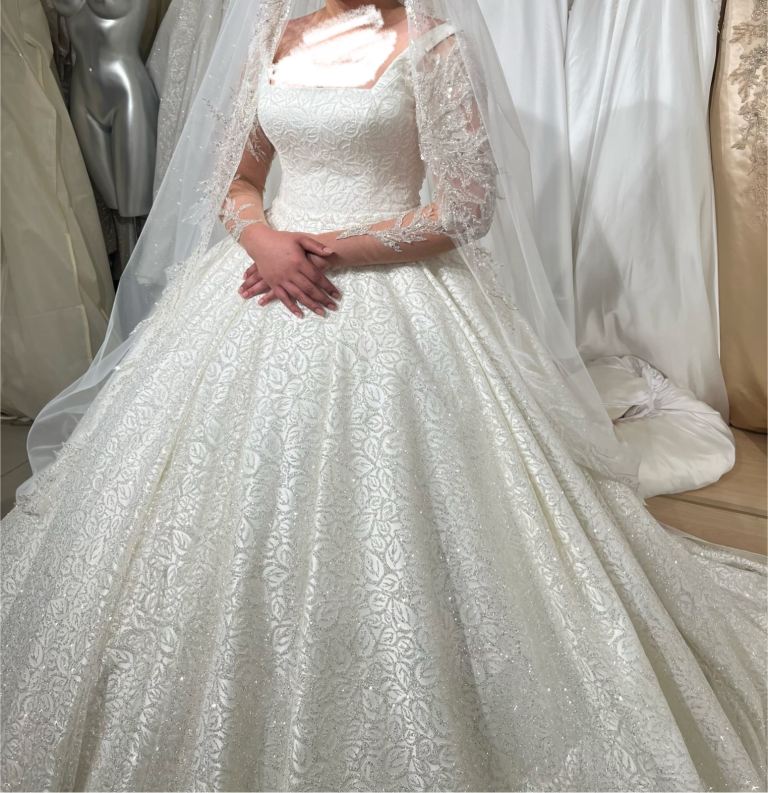 Ball Gown Wedding Dress