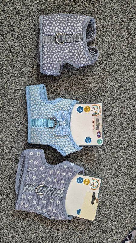 Puppy harnesses bundle 