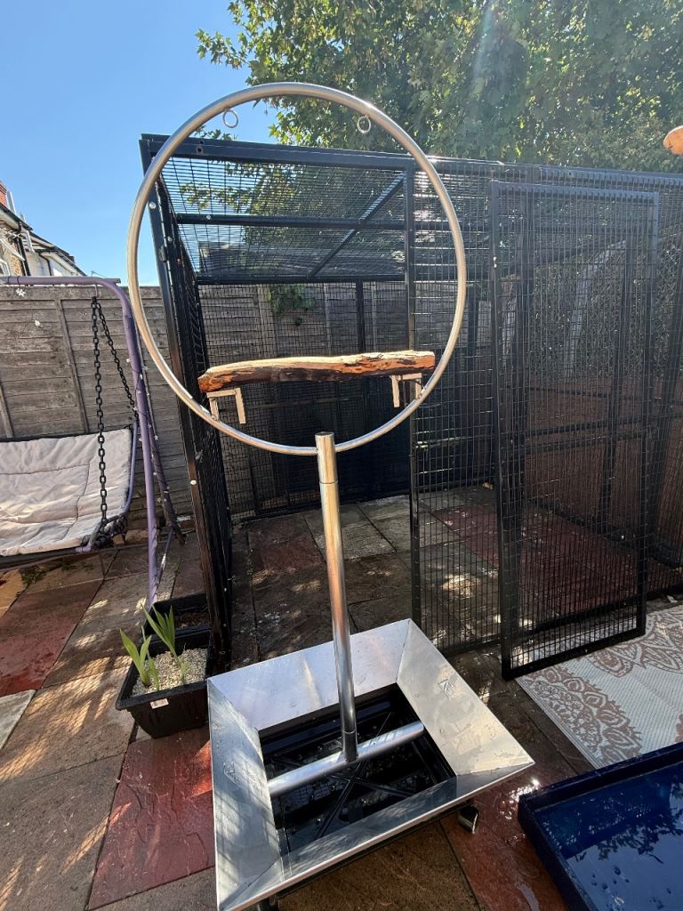 Parrot stand/perch