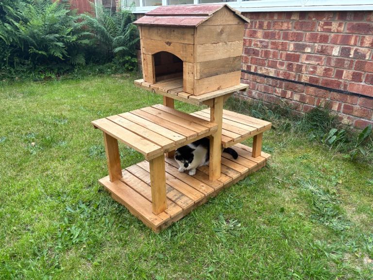 Wooden Cat Tree and House 