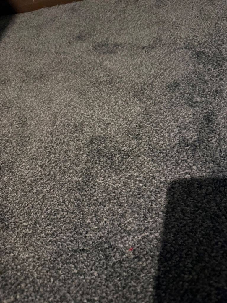 Grey carpet 