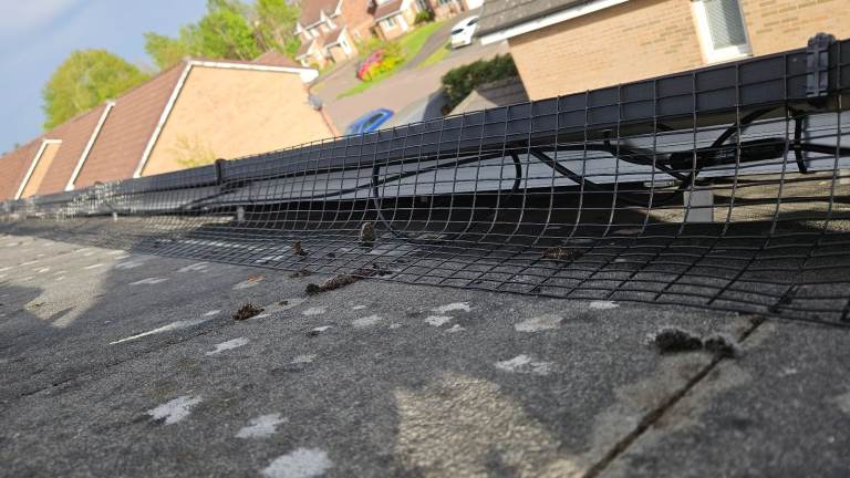 Solar panels bird mesh and clips