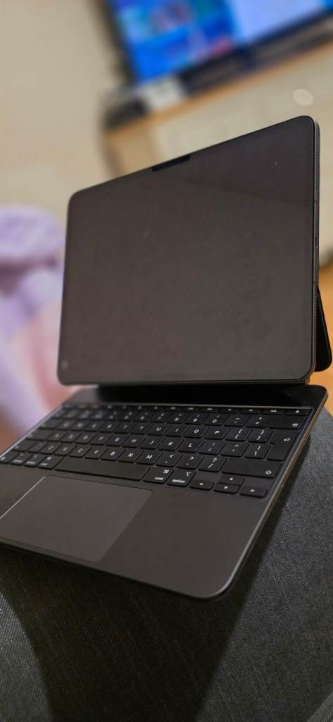 2025 iPad Pro M5 13inch 256gb